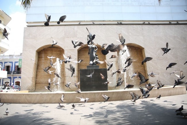 Organizan Centro y UJAT Festival  de las Aves Villahermosa 2022