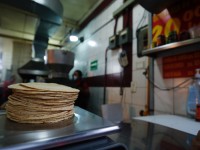 Nadie nos obliga a bajar  el precio de la tortilla