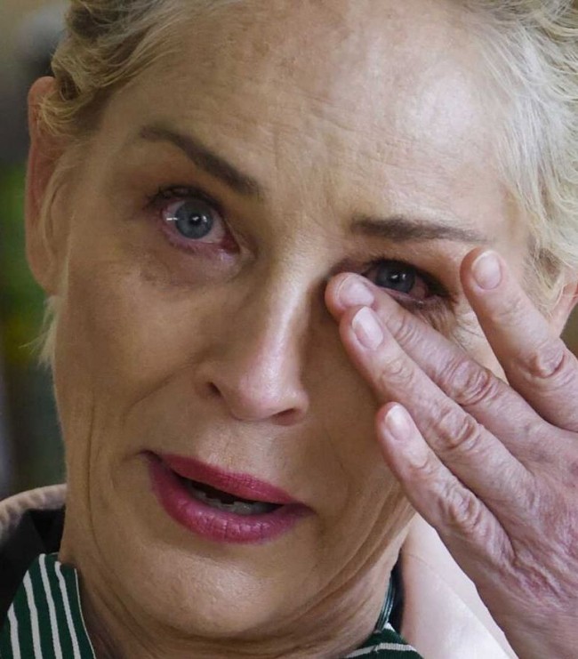 SHARON STONE TIENE UN TUMOR QUE DEBE SER EXTIRPADO