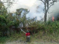 Incendios en pastizales son provocados: PC