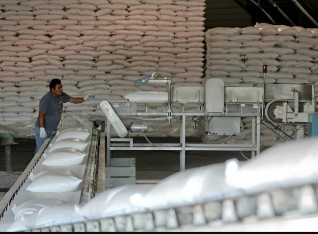Azúcar, producto que más subió en el mundo: FAO