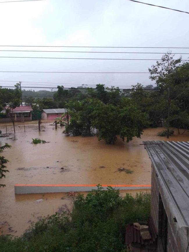 PROVOCAN LLUVIAS ANEGACIONES