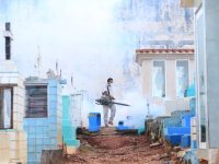 Fumigarán 42 panteones, evitarán contagios de dengue