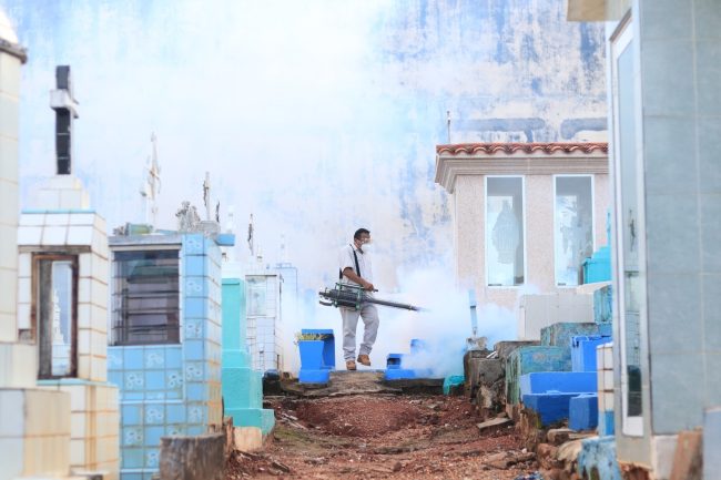 Fumigarán 42 panteones, evitarán contagios de dengue