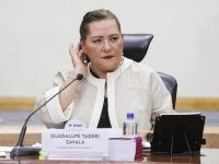 Defenderá INE presupuesto para elección judicial : Taddei