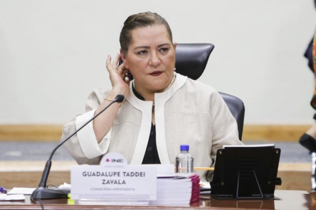 Defenderá INE presupuesto para elección judicial : Taddei