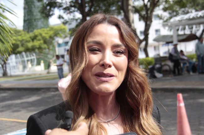 Se está trabajando en una ley nacional de adopciones