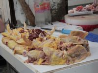 Aumenta hasta 15 % la venta de pollos y gallinas en el Pino Suárez