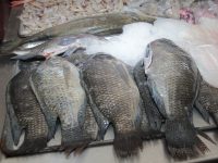 Se mantiene al 60 % la venta de pescados y mariscos