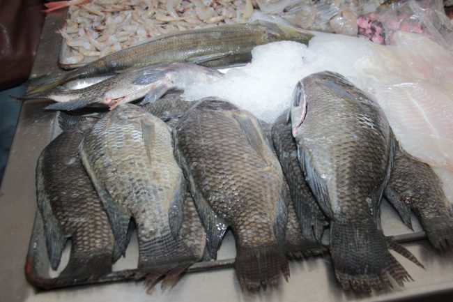 Se mantiene al 60 % la venta de pescados y mariscos
