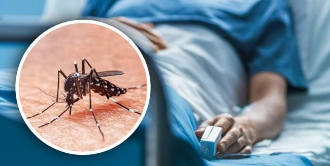 Baja Tabasco al lugar once en casos de dengue
