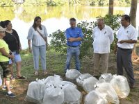 Liberan UJAT y GEOLIS ocho mil alevines en la Laguna de las Ilusiones