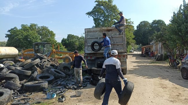 Mantiene Salud destrucción masiva de llantas para prevenir el dengue en Tabasco