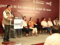 Reactivan sector cacaotero