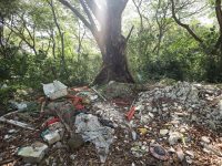 Realizarán trabajo comunitario para el cuidado de las Áreas Naturales Protegidas