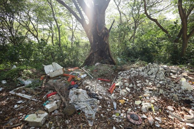 Realizarán trabajo comunitario para el cuidado de las Áreas Naturales Protegidas