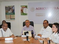 Ampliarán programa de energía eléctrica de uso agrícola: Lastra