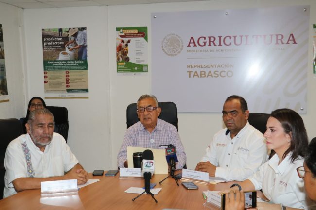 Ampliarán programa de energía eléctrica de uso agrícola: Lastra