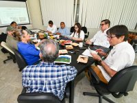 Fortalecen acciones para la conservación del mono saraguato