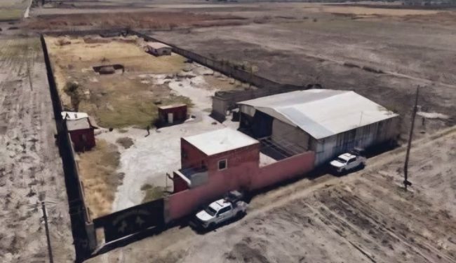Crematorio clandestino en Jalisco es un tema “muy crítico y muy grave”: Gertz Manero