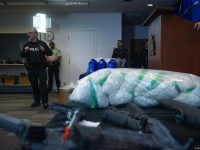 “Aumentan los productores independientes de fentanilo en México”