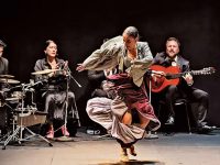 ‘Alma Flamenca’: Un encuentro de pasión y cultura