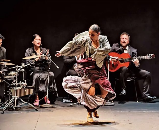 ‘Alma Flamenca’: Un encuentro de pasión y cultura