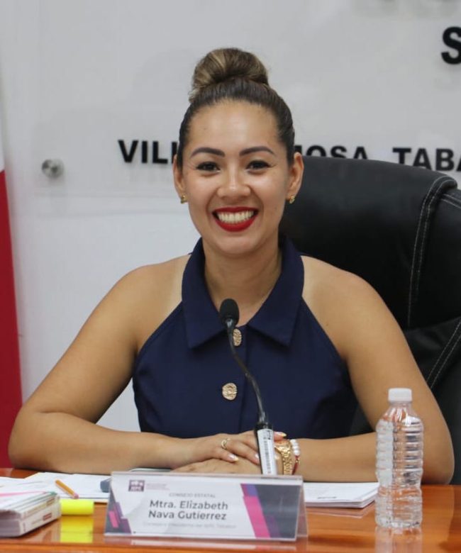 Iniciarán impresión de boletas de elección judicial: Nava 