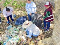 Protege Salud de dengue a más de 2 millones de tabasqueños 