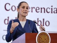 Necesario reabrir la frontera a la exportación ganadera