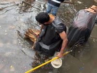Lluvias del Frente Frío 42 dejan afectaciones menores en Tabasco