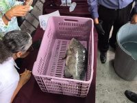 Premian al Pez Más Grande en el Stand de la SEDAP