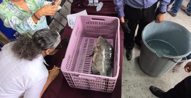 Premian al Pez Más Grande en el Stand de la SEDAP