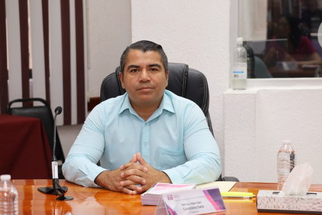 ‘Acordeones’ deben ser personales y no inducir el voto, aclara IEPCT