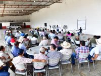 Bajan casos de contagios de gusano barrenador
