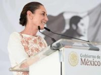 Debe la ONU llamar a la construcción de la paz
