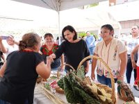 Fortalecen actividad artesanal en Centro