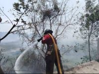 Controlan incendios de pastizales