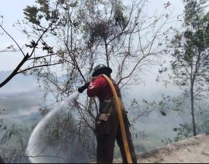 Controlan incendios de pastizales