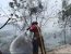 Controlan incendios de pastizales