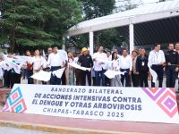 Inician acciones intensivas conjuntas contra eldengue