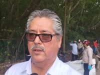 Entregadas 300 mil plantas de cacao a la Secretaría de Bienestar