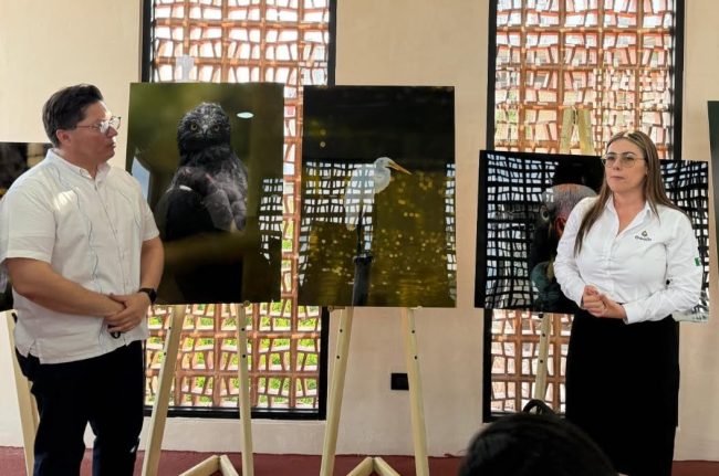 “Cacha Cacao” y Geolis con la exposición “Vidas Silvestres”