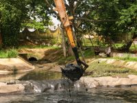Avanza rescate de la Laguna de las Ilusiones 